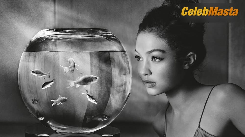 Gigi Hadid See Through for 2019 Pirelli Calendar Photo Gallery photo 1