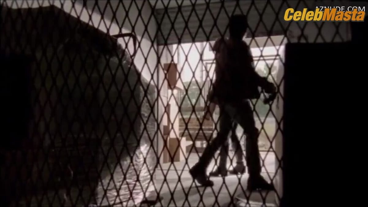 Lauren Cohan's Underwear Scene in The Walking Dead