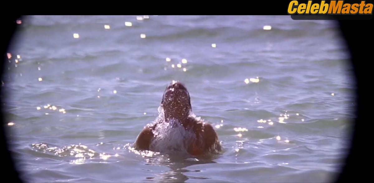 Halle Berry Shows Off Swimsuit Scene in Die Another Day