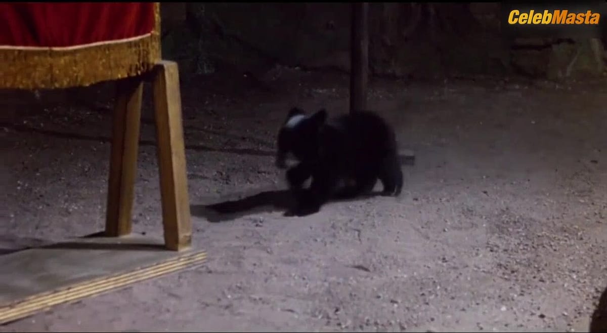 Laura Gemser Tits Scene from Ator The Fighting Eagle