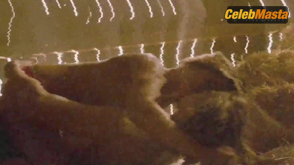 Merritt Patterson, Rosie Pearson, Amanda Ooms, Victoria Sanchez and Kelly Overton Flaunt Boobs in Top 5 Bare-wolves Scene