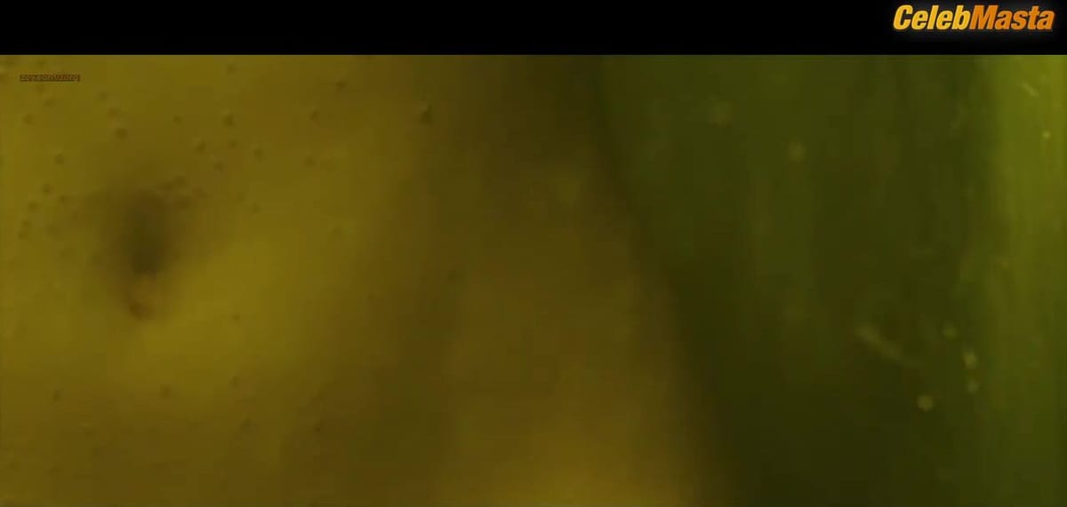 Sara Forestier Booty, Boobs Scene in Perfume The Story Of A Murderer