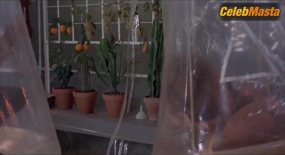 Sandahl Bergman Swimsuit Scene from She