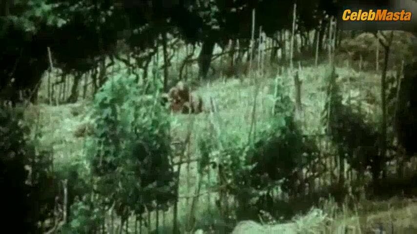 Karin Schubert Tits Scene from Master Of Love