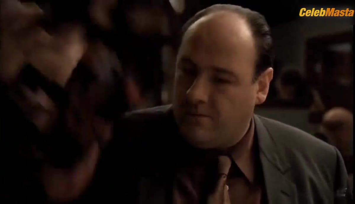 Kathrine Narducci's Tits Scene in The Sopranos