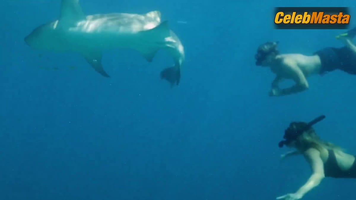 3500 batch's Tits, Swimsuit Scene in Love In The Maldives