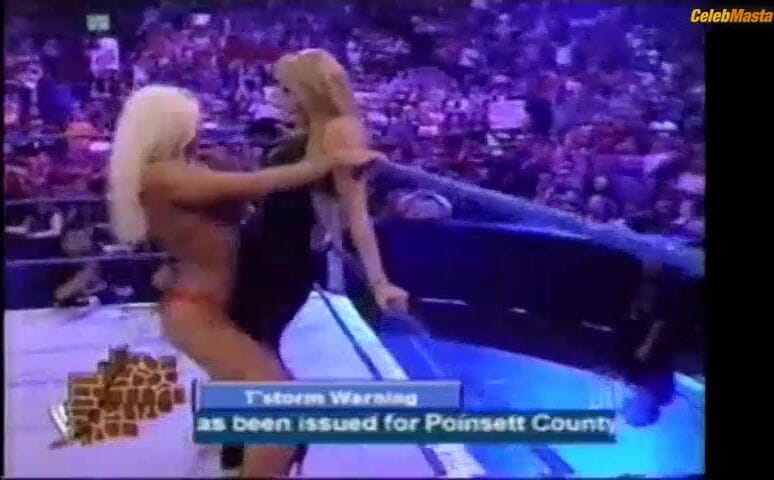 Torrie Wilson's Sultry Scene in WWE Smackdown!