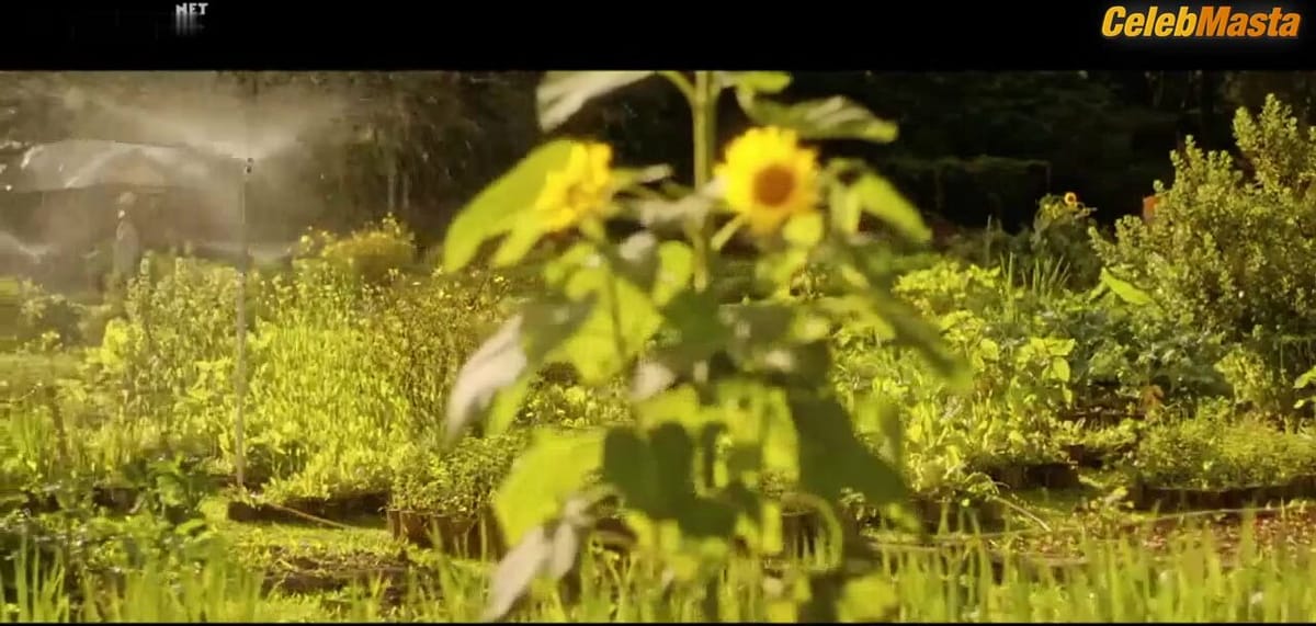 Andreia Horta Boobs Scene in O Jardim Secreto De Mariana