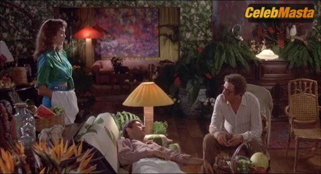 Michelle Johnson's Tits Scene in Blame It On Rio