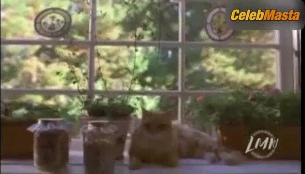 Zoe McLellan's Sexy Scene from Stranger In My House