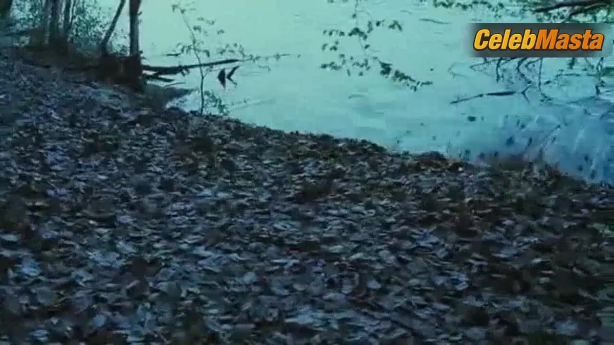 Nina Hoss Sexy Scene from Das Herz Ist Ein Dunkler Wald
