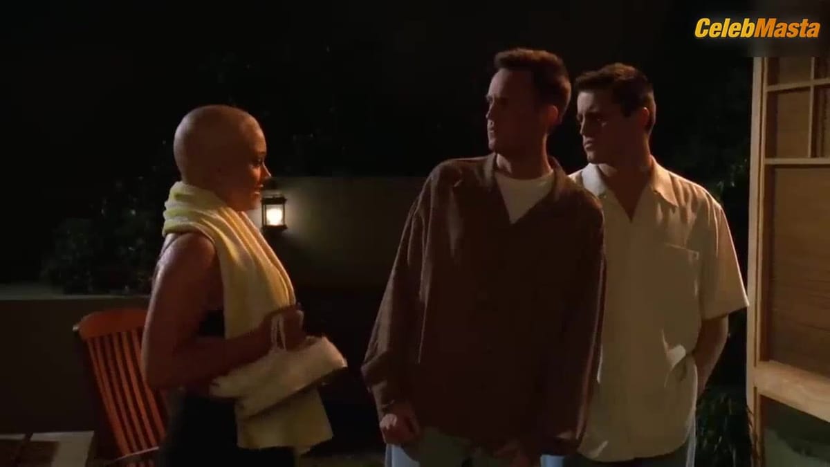 Christine Taylor's Boobs and Swimsuit Scene in Friends