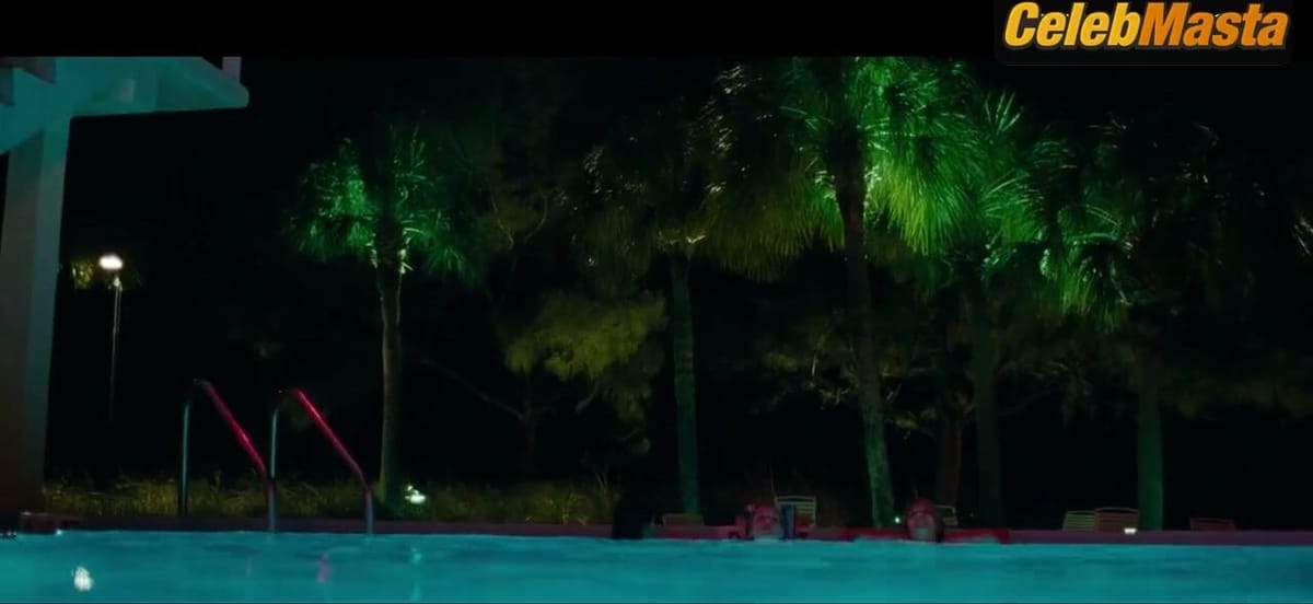 Ashley Benson, Rachel Korine, Selena Gomez, Vanessa Hudgens nude/sexy scene in Spring Breakers
