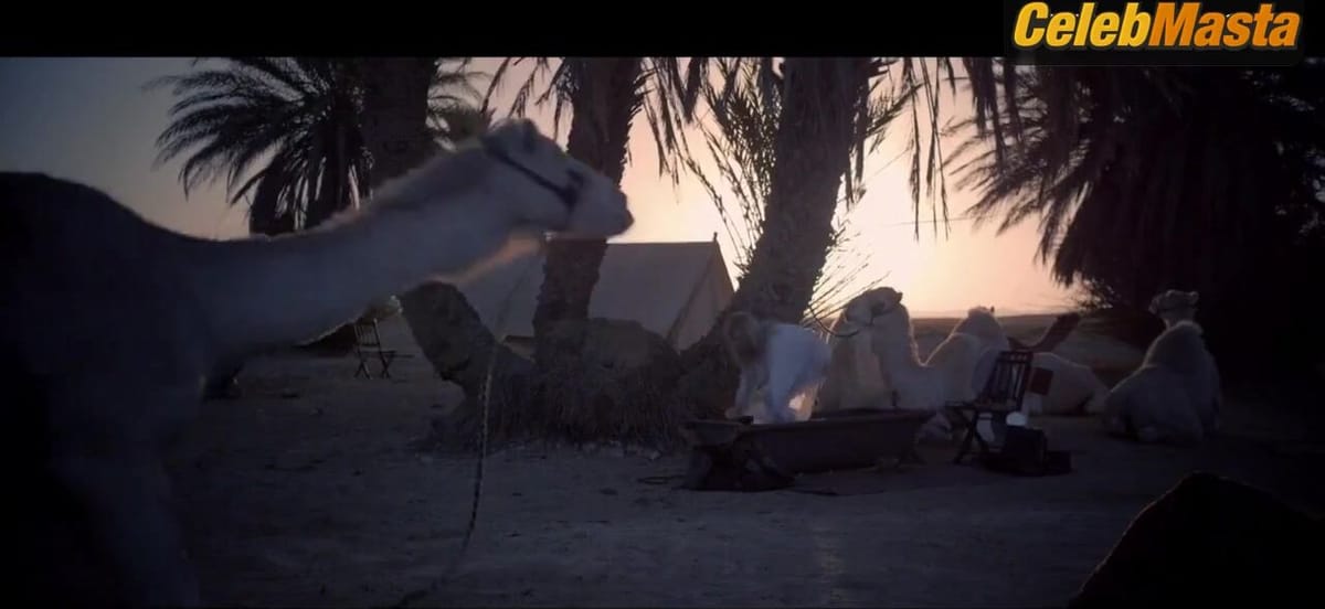 Nicole Kidman Sex Scene from Queen Of The Desert