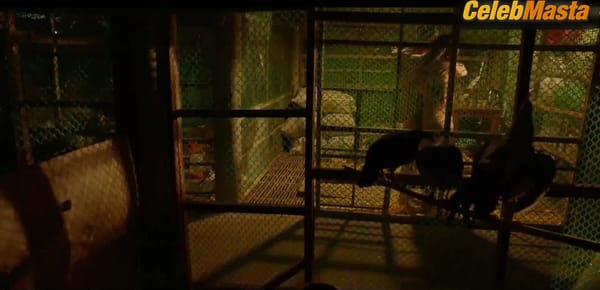 Rob Guinto's Booty, Boobs Scene in Kiskisan