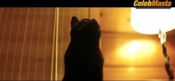 Emma Stone and Margaret Qualley Tits, Ass Scene from Kinds Of Kindness