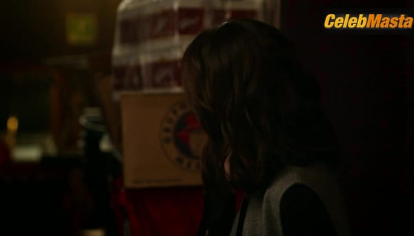 Aislinn Derbez Underwear Scene in The House Of Flowers Show