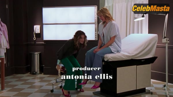 Kim Cattrall Boobs Scene in Sex And The City