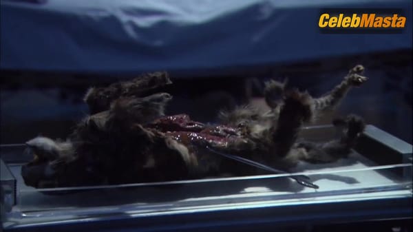 Jolene Blalock Flaunts Her Sex Scene in Star Trek Enterprise