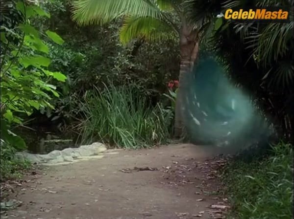 Alyssa Milano, Holly Marie Combs and Rose McGowan's Sexy Scene in Charmed