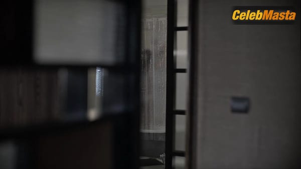 Stana Katic Bares Butt Scene in Absentia