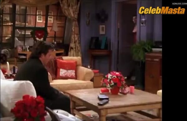 Courteney Cox Reveals Boobs in Friends Scene