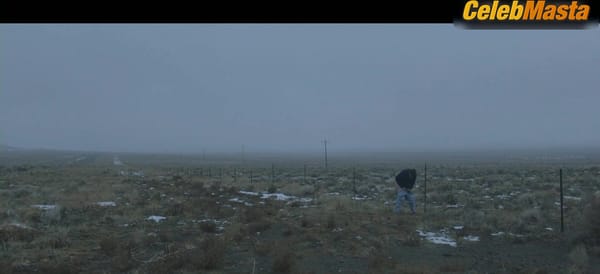 Frances McDormand Shows Off Sex Scene in Nomadland