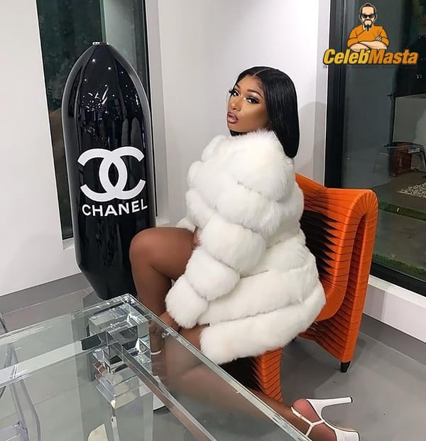 Hot Megan Thee Stallion Twerking Ass Photos & Video With Cardi B photo 33