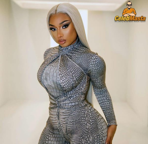 Megan Thee Stallion Thong Bikini Pics photo 4
