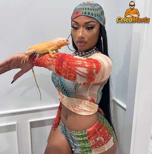 Megan Thee Stallion Thong Bikini Pics photo 8