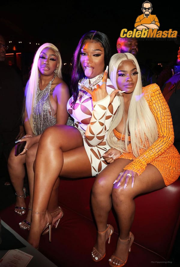 Up-Skirt Megan Thee Stallion Pussy Photos Revealed photo 9