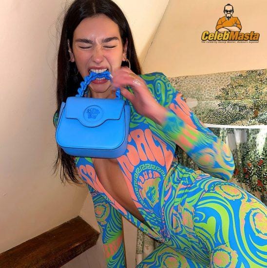 Dua Lipa Ass & Tits Bikini Photos photo 26