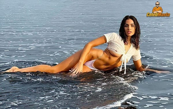 Raunchy Olivia Culpo See-Through Images Surface The Web photo 16