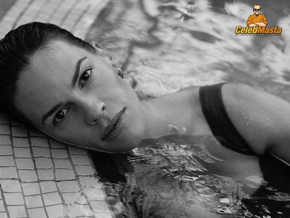 Hot Hilary Swank Sex Scene Video Topless photo 3