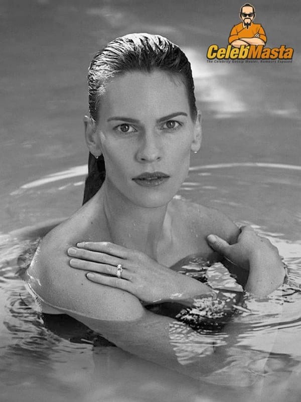 Hot Hilary Swank Sex Scene Video Topless photo 6