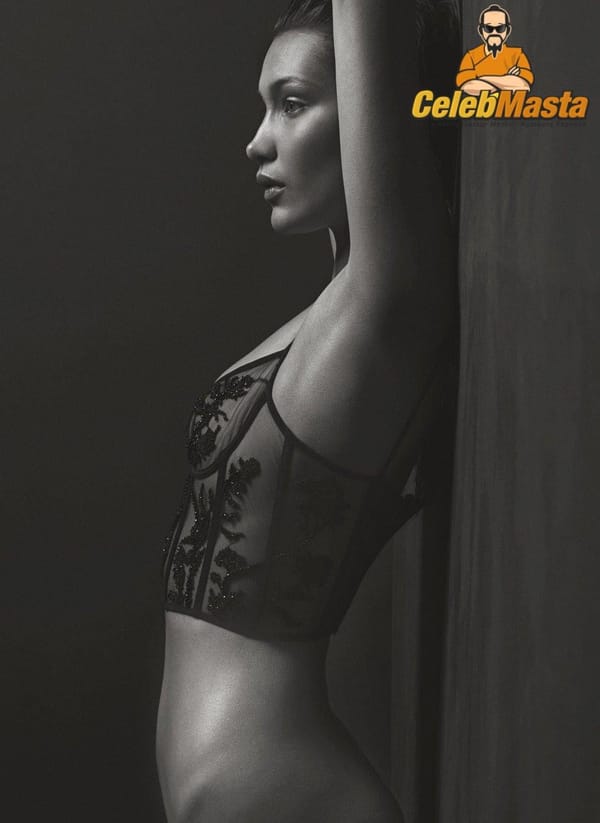 Topless Bella Hadid Nipples Photos photo 11