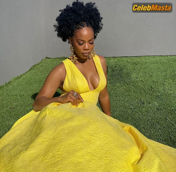 Photo Gallery: Brandee Evans Shows Her Red Carpet Look For The 32nd Annual Glaad photo 1