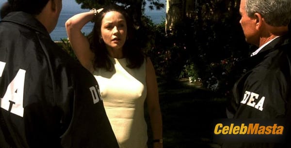 Photo Gallery: Catherine Zeta-Jones in Traffic photo 8