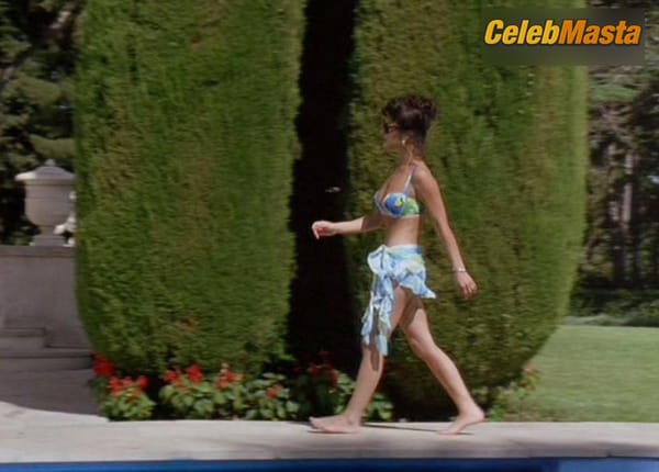 Photo Gallery: Catherine Zeta-Jones in Splitting Heirs photo 8