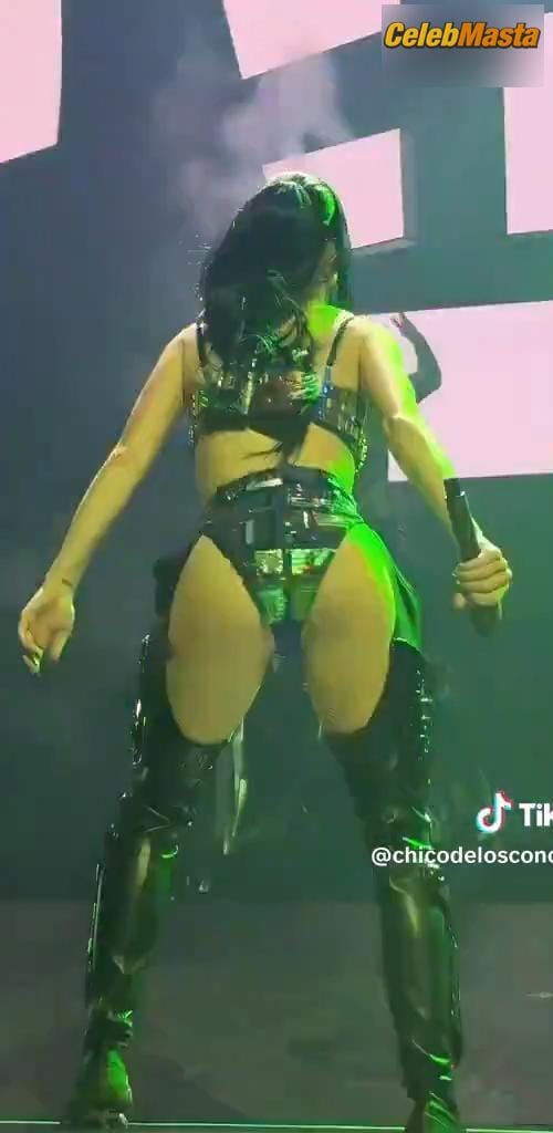 Katy Perry Photo Set from Arte Concert photo 5