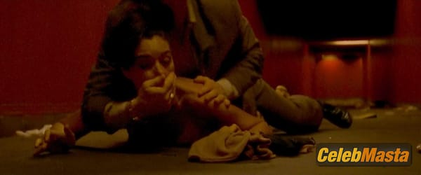 Monica Bellucci Photo Collection from Irreversible photo 46