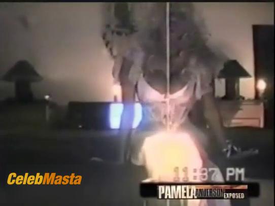 Pamela Anderson Photos: Sex Tape photo 8