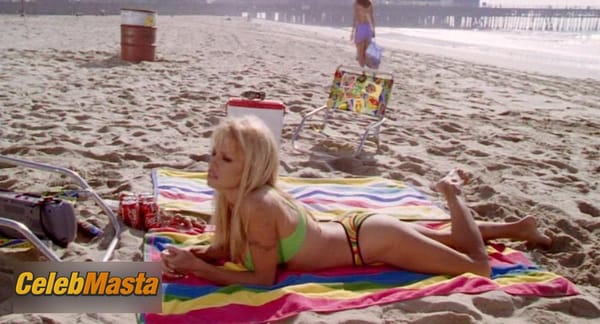 Pamela Anderson Scene Photos Gallery from V.i.p. photo 34