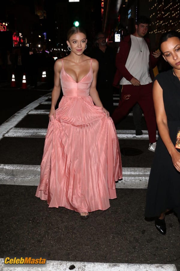 Sydney Sweeney arrives at the Sony Pictures ‘Once Upon A TimeIn Hollywood’ Los Angeles Premiere in Hollywood, California photo 18