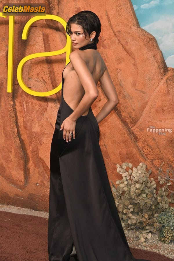 Zendaya Sideboob at the Euphoria Season 3 Premiere in LA photo 10