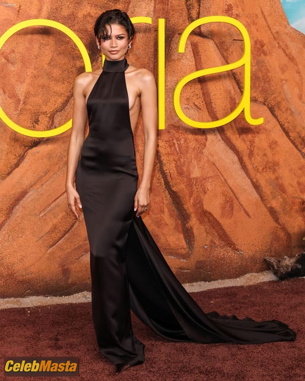 Zendaya Sideboob at the Euphoria Season 3 Premiere in LA photo 18