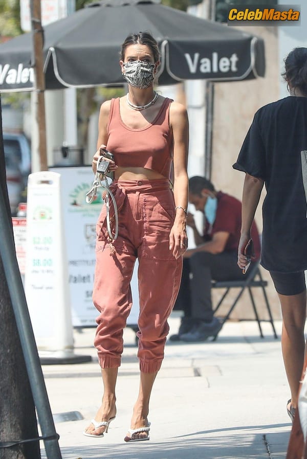 Alessandra Ambrosio stops at Urth Cafe in West Hollywood photo 12