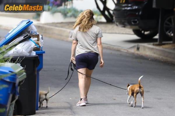 Alicia Silverstone taking a stroll near the $597K four-bedroom Hollywood Hills home she bought way back in 1996 photo 19