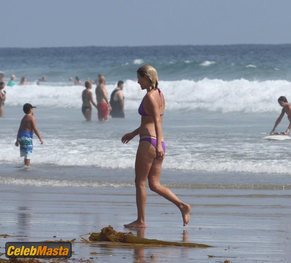 Ali Larter with husband Hayes MacArthur at the beach in Malibu photo 7
