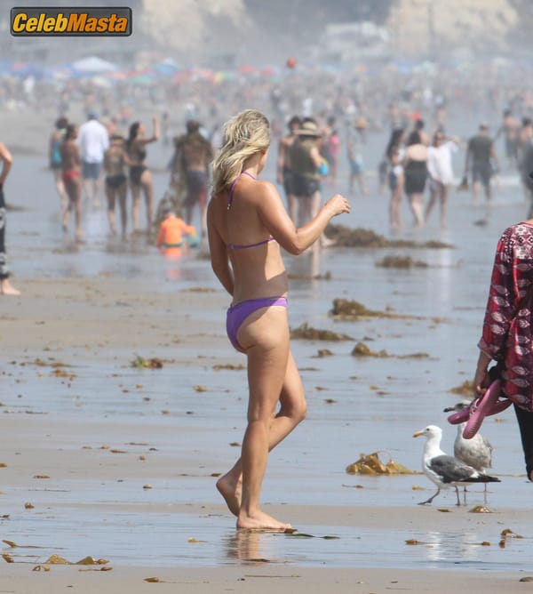 Ali Larter with husband Hayes MacArthur at the beach in Malibu photo 33